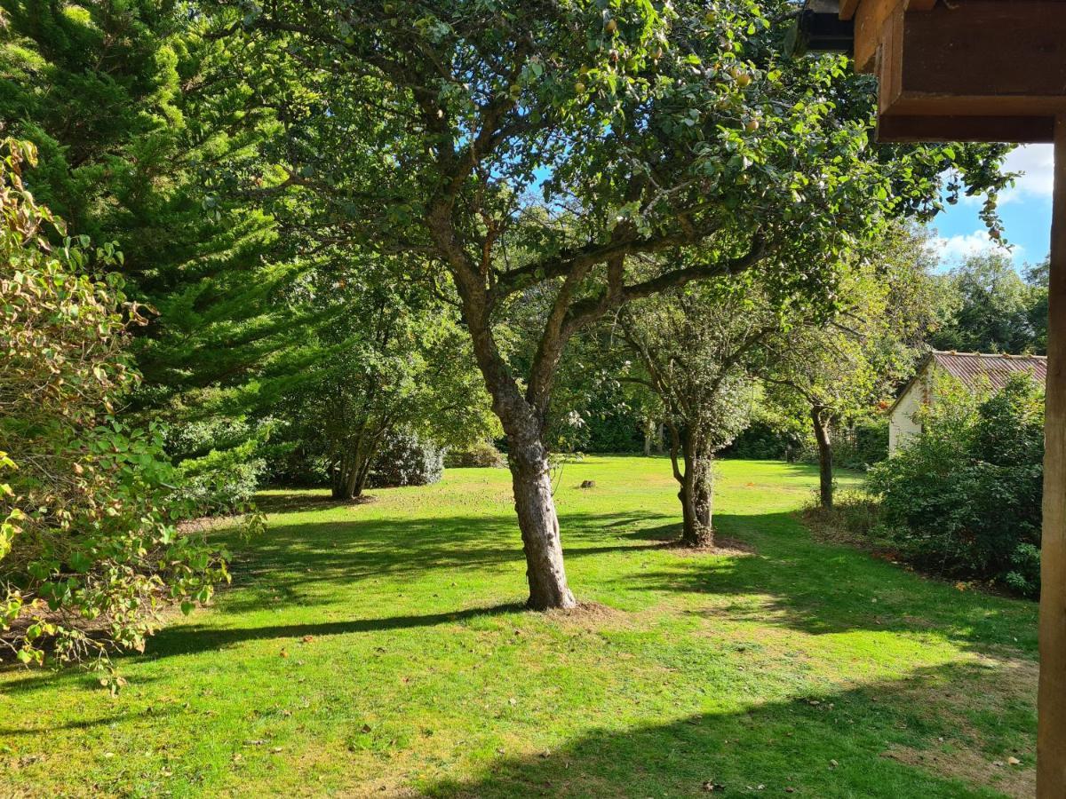 The Reading Whole Chalet With Lake And Two Acre Gardens Exterior foto